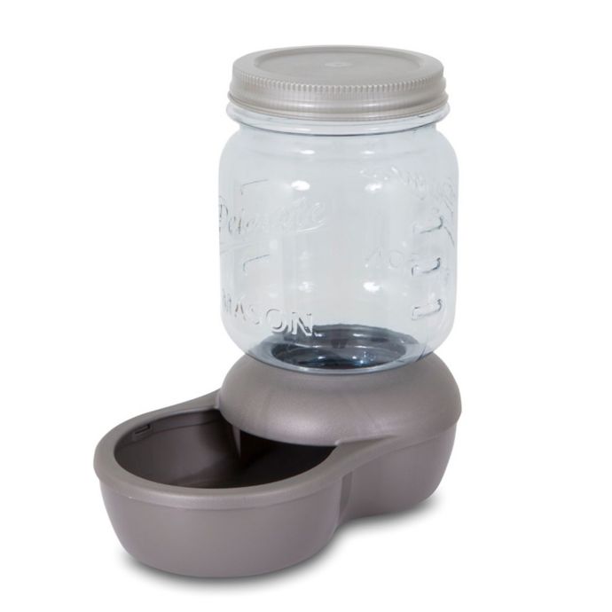 Petmate Replendish Mason Jar Feeder Bed Bath Beyond