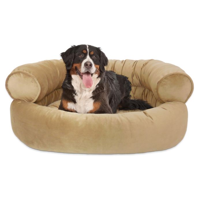 Orthopedic Microvelvet Comfy Couch Large Pet Bed Bed Bath Beyond