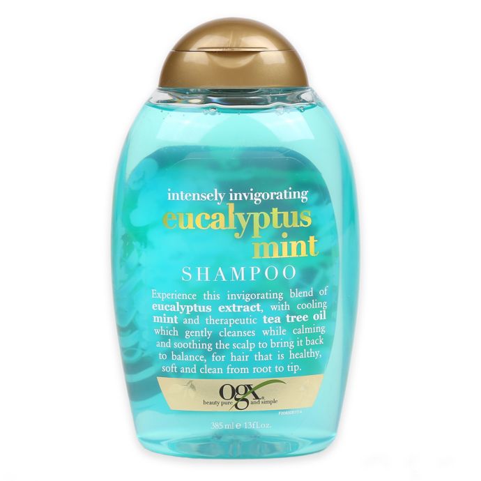 Ogx Intensely Invigorating 13 Fl Oz Shampoo In Eucalyptus Mint