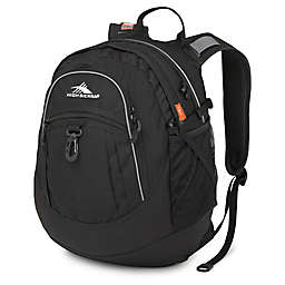 High Sierra® Fat Boy 19.5-Inch Backpack