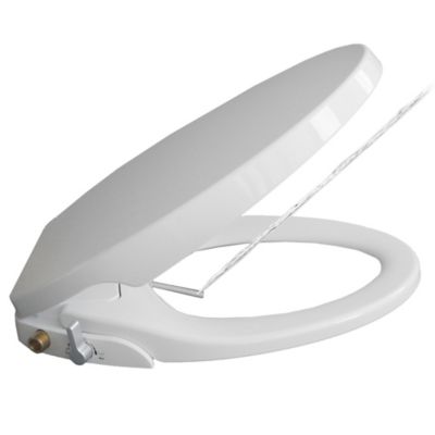blue and white toilet seat