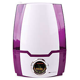 Air Innovations 1.37 Gallon Ultrasonic Digital Humidifier in Purple