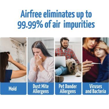 Airfree P3000 Filterless Silent Air Purifier. View a larger version of this product image.