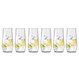 Fortessa® D&V® Sole Iced Beverage Glasses (Set of 6)