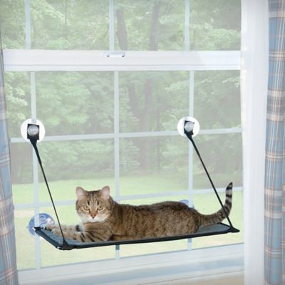 oster cat window bed