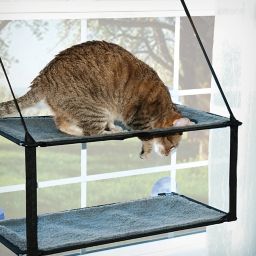 Kitty Sill Double Stack EZ Window Mount™ in Grey/Black