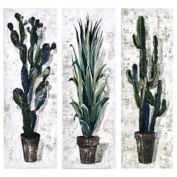 Cactus 12-Inch x 36-Inch Gallery Canvas Wall Art in Green (Set of 3)