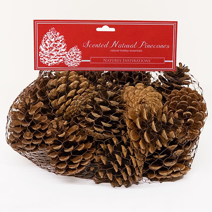 Scented Natural Pine Cone Bag Bed Bath & Beyond