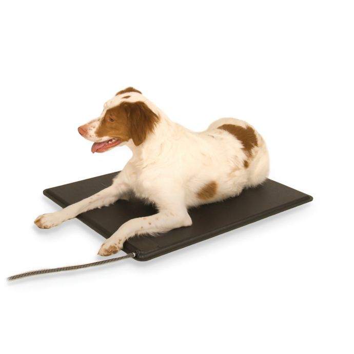 LectroKennels Heated Pad in Black Bed Bath & Beyond