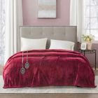 Alternate image 5 for Beautyrest&reg; Plush Heated Blanket