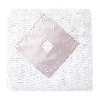 Alternate image 0 for Zalamoon Diamond Plush Blanket with Satin Accent in Flake