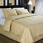 Cotton Dream Colors All Natural Cotton Filled Comforter