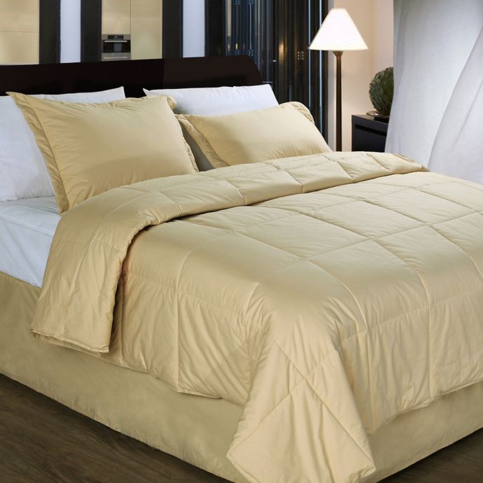 Cotton Dream Colors All Natural Cotton Filled Comforter Bed Bath