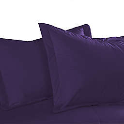 Cotton Dream Colors Tailored Standard Pillow Sham in Fig