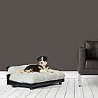 Alternate image 3 for Club Nine Pets Roma Orthopedic Dog Bed