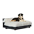 Alternate image 0 for Club Nine Pets Roma Orthopedic Dog Bed