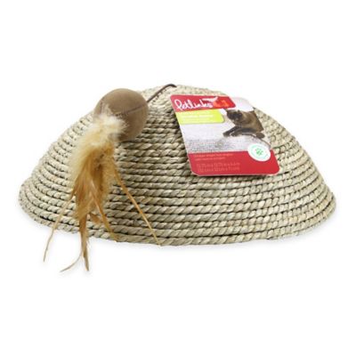 dome cat scratcher