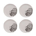 Alternate image 1 for Bee & Willow&trade; Turkey Motif Appetizer Plates (Set of 4)