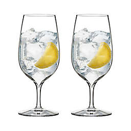 Waterford® Elegance Water Glasses (Set of 2)