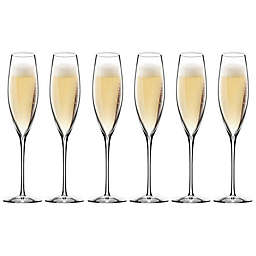 Waterford® Elegance Classic Champagne Flutes (Set of 6)