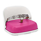 Alternate image 0 for OXO Tot&reg; Perch Booster Seat with Straps in Pink