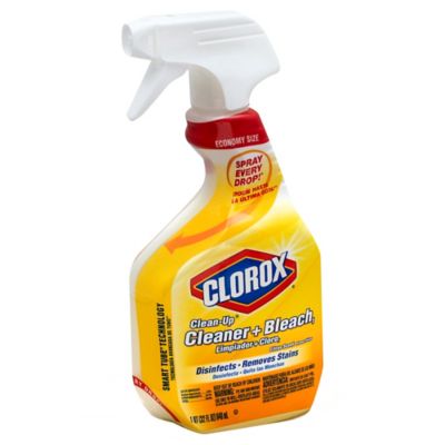 clorox spray bottle
