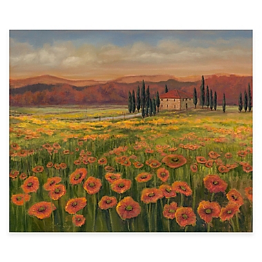 Courtside Market Tuscan Meadow I 20-Inch x 16-Inch Canvas Wall Art. View a larger version of this product image.