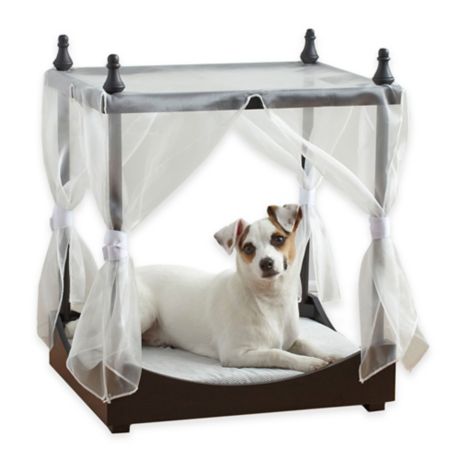 dog canopy bed b&m