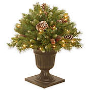 National Tree 24-Inch Frosted Berry Porch Bush with Clear Lights