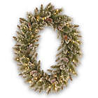 Alternate image 0 for National Tree Company 30-Inch Pre-Lit Glittery Bristle Pine Oval Wreath with LED Lights