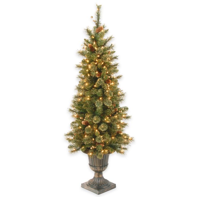 National Tree 4-Foot Pre-Lit Glittery Gold Pine Entrance Tree | Bed ...