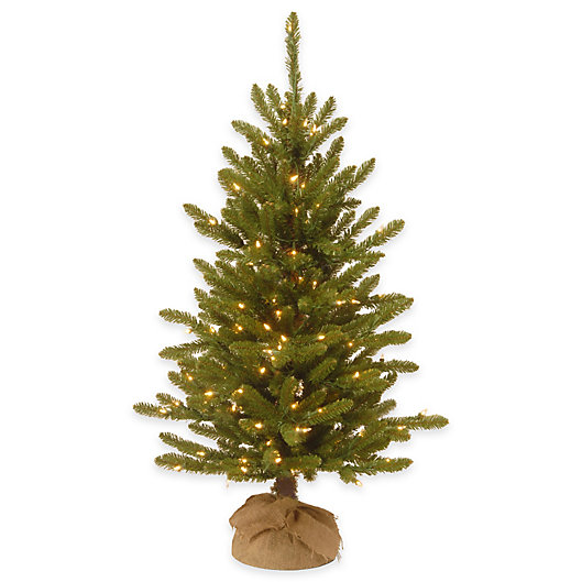 Alternate image 1 for National Tree Company 4-Foot Kensington Pine Pre-Lit Christmas Tree with Clear Lights