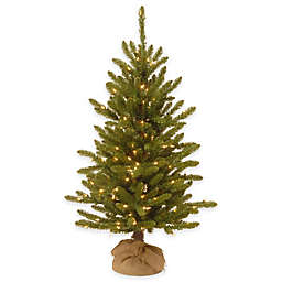 National Tree Company 4-Foot Kensington Pine Pre-Lit Christmas Tree with Clear Lights