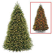 National Tree Dunhill Fir Christmas Tree with PowerConnect&trade; Dual Color&reg; Lights
