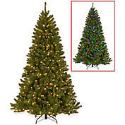National Tree Company North Valley Spruce Pre-Lit Christmas Tree w/Dual-Color LEDs