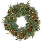 Alternate image 0 for National Tree 24-Inch Colonial Pre-Lit Wreath with Color Changing LED Lights