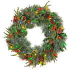 Alternate image 1 for National Tree 24-Inch Colonial Pre-Lit Wreath with Color Changing LED Lights