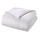 Alternate image 0 for Wamsutta&reg; Dream Zone&reg; Light Warmth White Goose Down Twin Comforter