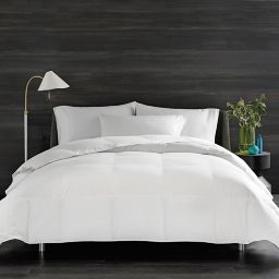 Bedding Comforters And Blanket Bed Bath Beyond