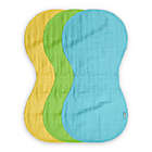 Alternate image 0 for green sprouts&reg; 3-pack Organic Cotton Muslin Burp Cloths in Aqua and Green
