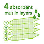Alternate image 5 for green sprouts&reg; 3-pack Organic Cotton Muslin Burp Cloths in Aqua and Green