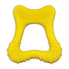Alternate image 0 for green sprouts&reg; Silicone Cleaning Teether