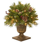 National Tree Frosted Berry Porch Bush with Clear Lights