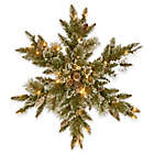 Alternate image 0 for National Tree Company 32-Inch Pre-lIt Glittery Bristle Pine Snowflake with LED Lights