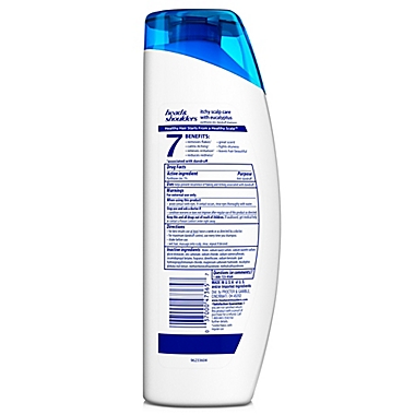 Head and Shoulders&reg; 13.5 oz. Itchy Scalp Care Dandruff Shampoo with Eucalyptus. View a larger version of this product image.