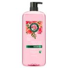 Alternate image 0 for Clairol&reg; Herbal Essences 29.2 oz. Smooth Collection Shampoo