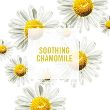 Clairol&reg; Herbal Essences 33.8 oz. Shine Collection Brilliance Shampoo. View a larger version of this product image.