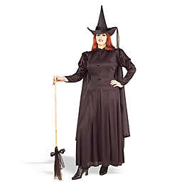Classic Witch Plus Size Adult Halloween Costume