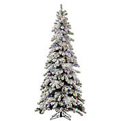 Vickerman 5-Foot Flocked Kodiak Spruce Pre-Lit Christmas Tree with Multicolor LED Lights