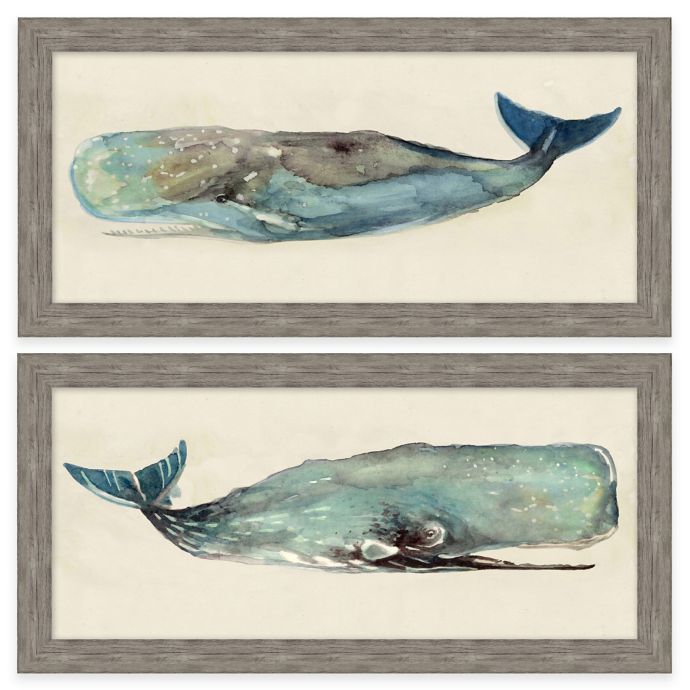 Framed Giclee Watercolor Whale Wall Art Collection Bed Bath Beyond